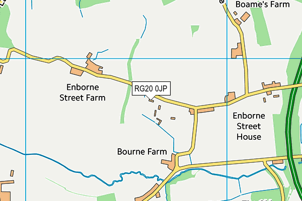 RG20 0JP map - OS VectorMap District (Ordnance Survey)