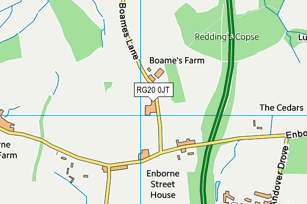 RG20 0JT map - OS VectorMap District (Ordnance Survey)