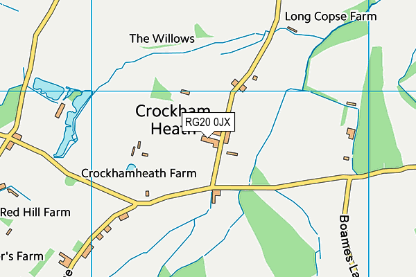 RG20 0JX map - OS VectorMap District (Ordnance Survey)