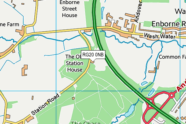 RG20 0NB map - OS VectorMap District (Ordnance Survey)