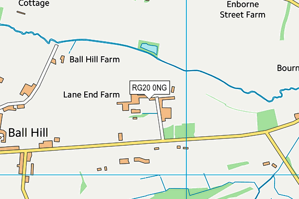 RG20 0NG map - OS VectorMap District (Ordnance Survey)