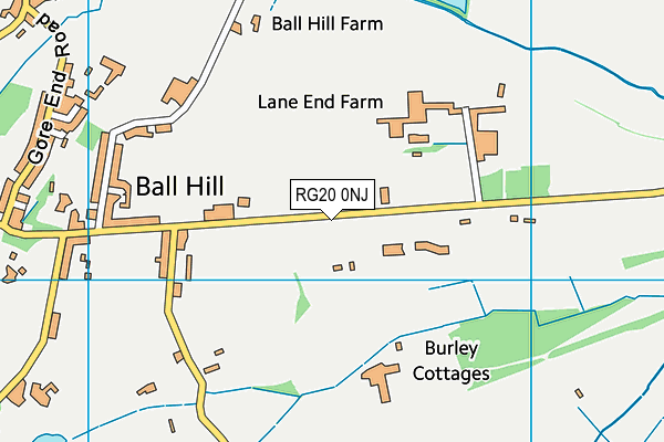 RG20 0NJ map - OS VectorMap District (Ordnance Survey)