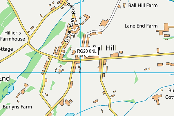 RG20 0NL map - OS VectorMap District (Ordnance Survey)