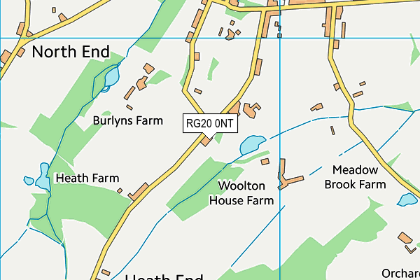 RG20 0NT map - OS VectorMap District (Ordnance Survey)