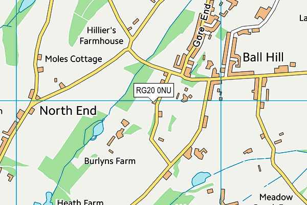 RG20 0NU map - OS VectorMap District (Ordnance Survey)