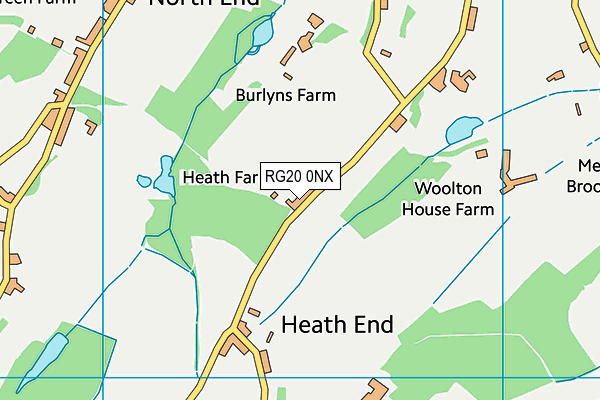 RG20 0NX map - OS VectorMap District (Ordnance Survey)