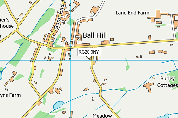 RG20 0NY map - OS VectorMap District (Ordnance Survey)