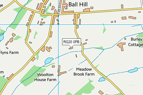 RG20 0PB map - OS VectorMap District (Ordnance Survey)