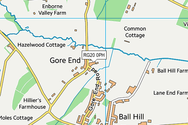 RG20 0PH map - OS VectorMap District (Ordnance Survey)