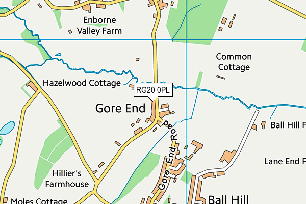 RG20 0PL map - OS VectorMap District (Ordnance Survey)