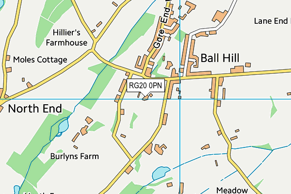 RG20 0PN map - OS VectorMap District (Ordnance Survey)