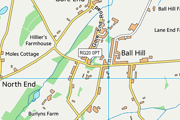 RG20 0PT map - OS VectorMap District (Ordnance Survey)