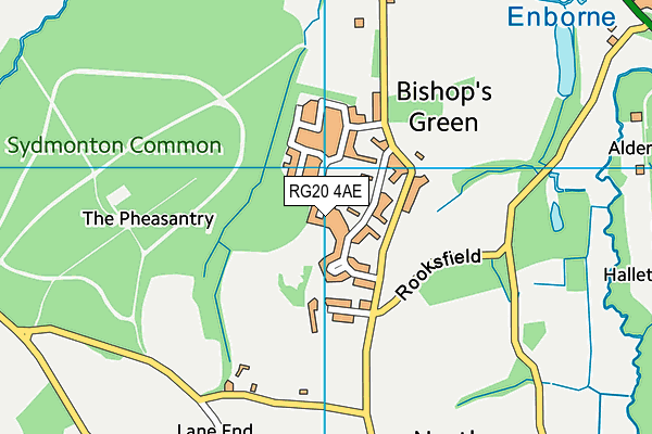 RG20 4AE map - OS VectorMap District (Ordnance Survey)