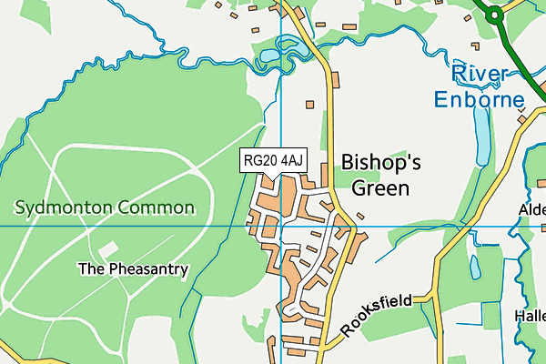 RG20 4AJ map - OS VectorMap District (Ordnance Survey)