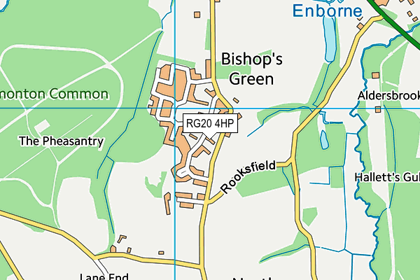 RG20 4HP map - OS VectorMap District (Ordnance Survey)