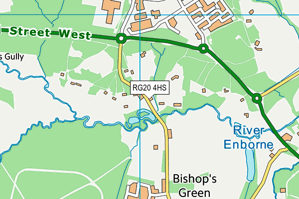 RG20 4HS map - OS VectorMap District (Ordnance Survey)