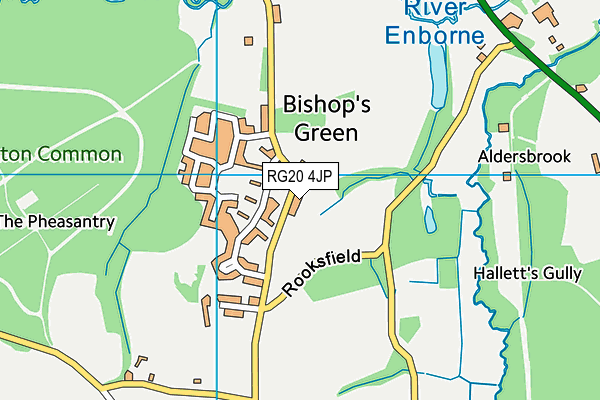 RG20 4JP map - OS VectorMap District (Ordnance Survey)