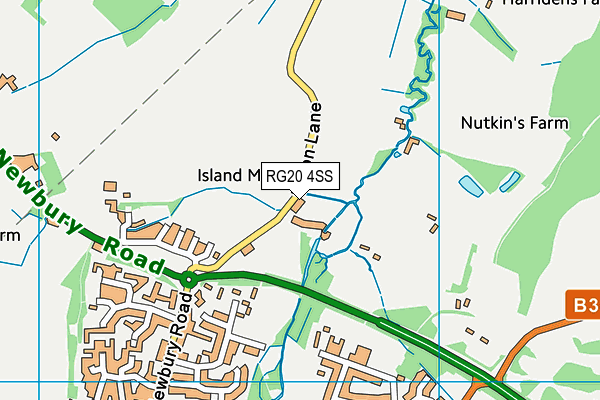 RG20 4SS map - OS VectorMap District (Ordnance Survey)