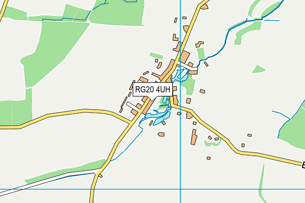 RG20 4UH map - OS VectorMap District (Ordnance Survey)