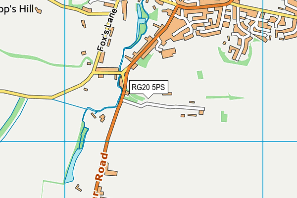 RG20 5PS map - OS VectorMap District (Ordnance Survey)