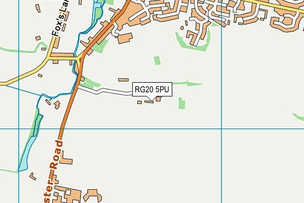 RG20 5PU map - OS VectorMap District (Ordnance Survey)