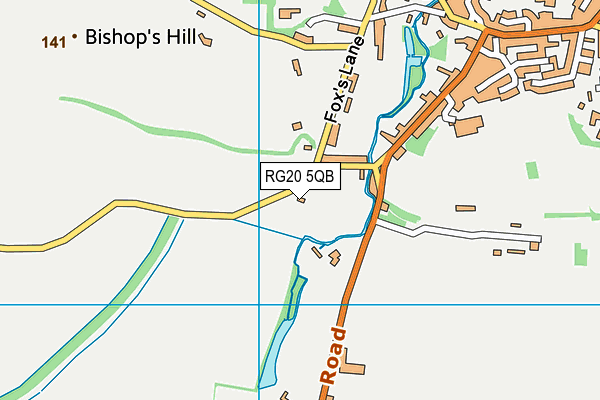 RG20 5QB map - OS VectorMap District (Ordnance Survey)