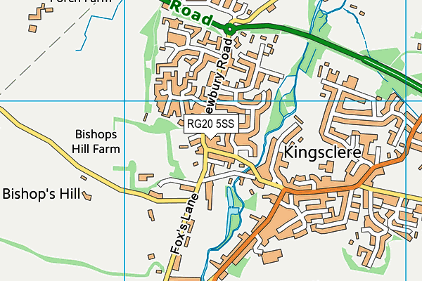 RG20 5SS map - OS VectorMap District (Ordnance Survey)