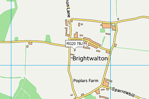 RG20 7BJ map - OS VectorMap District (Ordnance Survey)