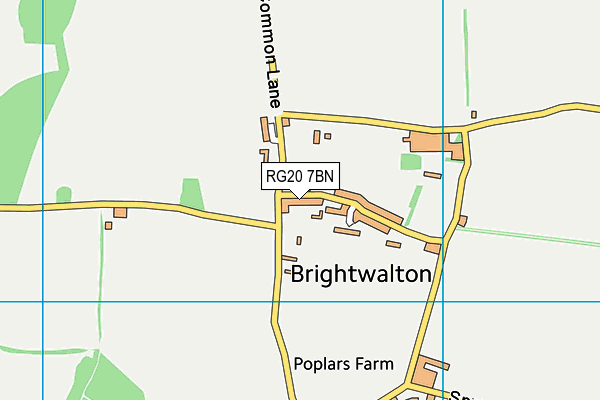 Brightwalton C.E. Aided Primary School map (RG20 7BN) - OS VectorMap District (Ordnance Survey)