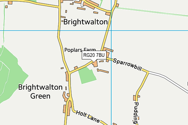 RG20 7BU map - OS VectorMap District (Ordnance Survey)