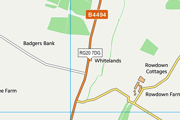 RG20 7DG map - OS VectorMap District (Ordnance Survey)