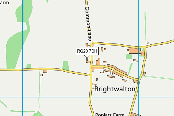 RG20 7DH map - OS VectorMap District (Ordnance Survey)