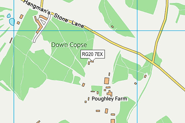 RG20 7EX map - OS VectorMap District (Ordnance Survey)