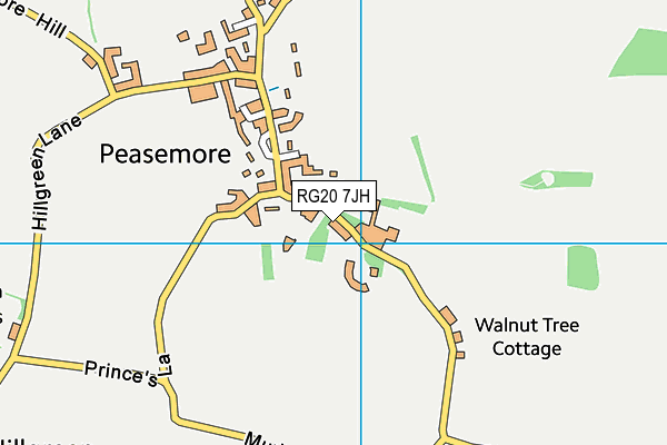 RG20 7JH map - OS VectorMap District (Ordnance Survey)