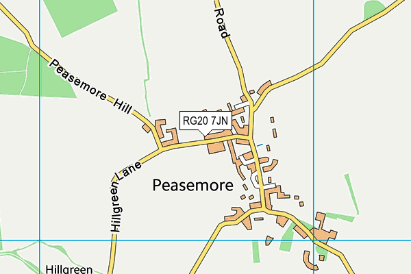 Peasemore Village Cricket Club map (RG20 7JN) - OS VectorMap District (Ordnance Survey)