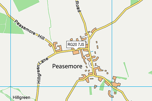 RG20 7JS map - OS VectorMap District (Ordnance Survey)