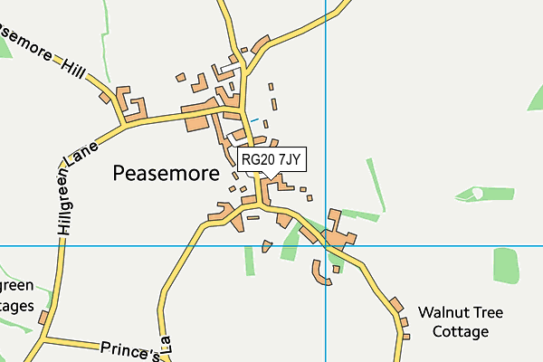 RG20 7JY map - OS VectorMap District (Ordnance Survey)