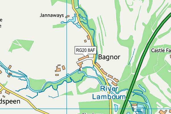 RG20 8AF map - OS VectorMap District (Ordnance Survey)