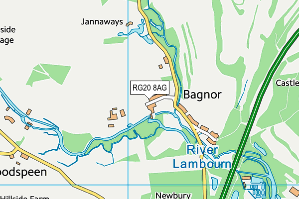 RG20 8AG map - OS VectorMap District (Ordnance Survey)