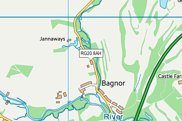 RG20 8AH map - OS VectorMap District (Ordnance Survey)