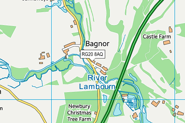 RG20 8AQ map - OS VectorMap District (Ordnance Survey)