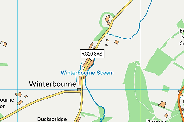 RG20 8AS map - OS VectorMap District (Ordnance Survey)