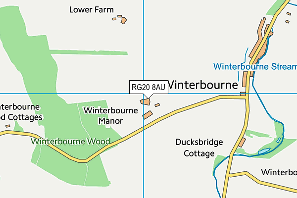 RG20 8AU map - OS VectorMap District (Ordnance Survey)