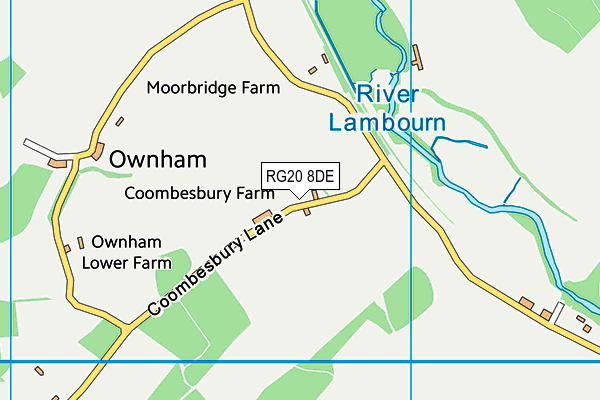 RG20 8DE map - OS VectorMap District (Ordnance Survey)