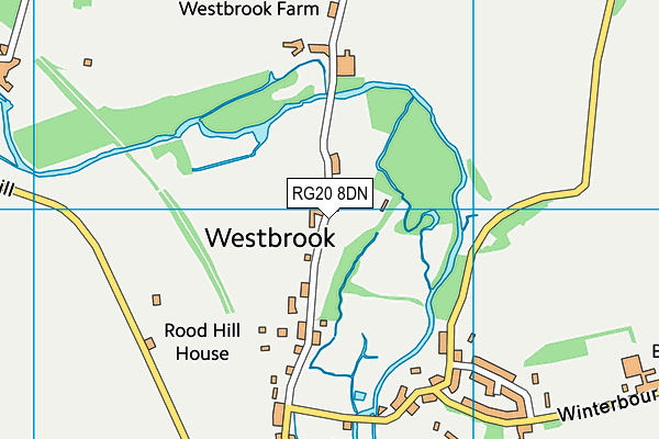 RG20 8DN map - OS VectorMap District (Ordnance Survey)