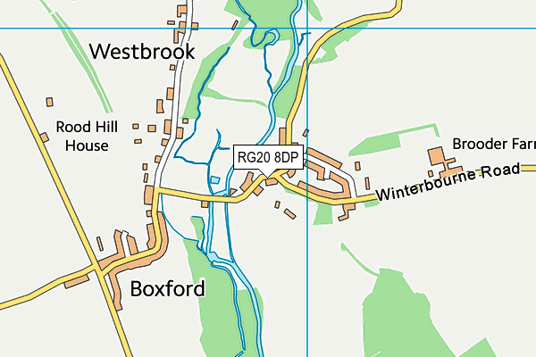 RG20 8DP map - OS VectorMap District (Ordnance Survey)