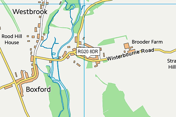 RG20 8DR map - OS VectorMap District (Ordnance Survey)