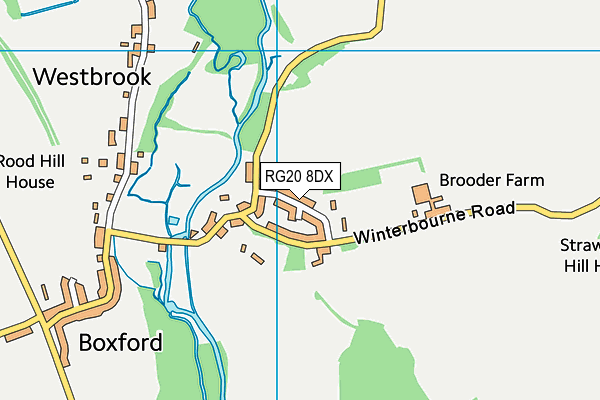 RG20 8DX map - OS VectorMap District (Ordnance Survey)