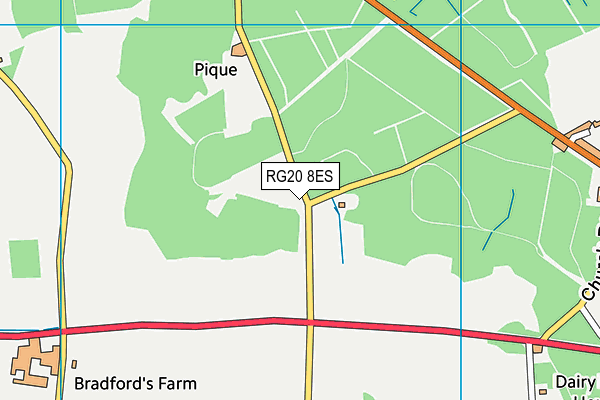 RG20 8ES map - OS VectorMap District (Ordnance Survey)