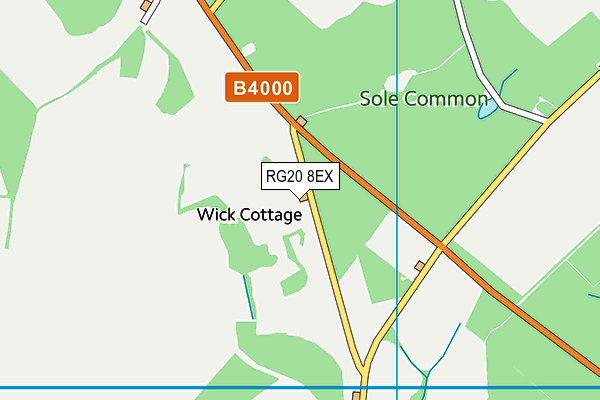 RG20 8EX map - OS VectorMap District (Ordnance Survey)